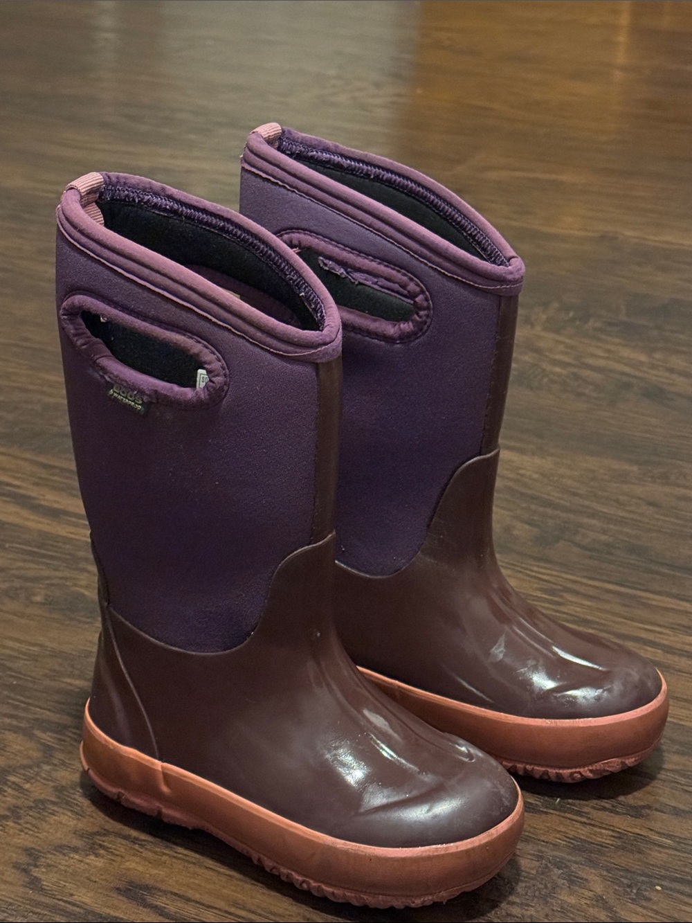 Bogs Kids Plum & Maroon Waterproof Rain Boots